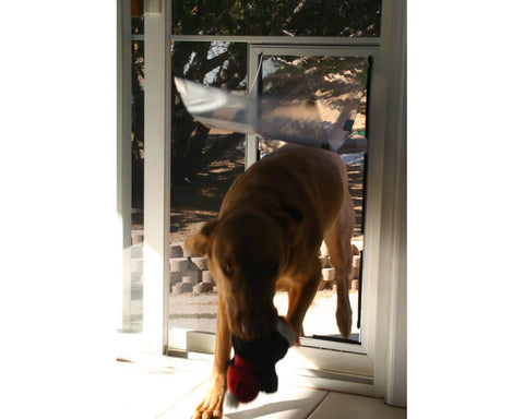 Hale Pet Door - Screen Mounted Dog and Cat Door
