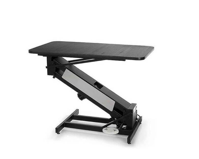 PetLift MasterLift table de toilettage électrique avec baignoire