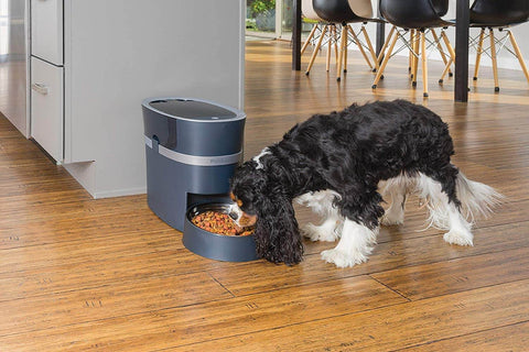 PetSafe Smart Feed Automatic Pet Feeder for iPhone and Android - 12 meal