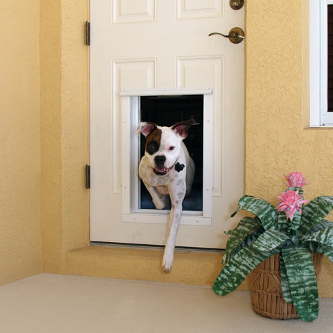 PlexiDor Automatic In-Wall Mount Motorized Cat & Dog Door with RFID chip electric motorized  dog door