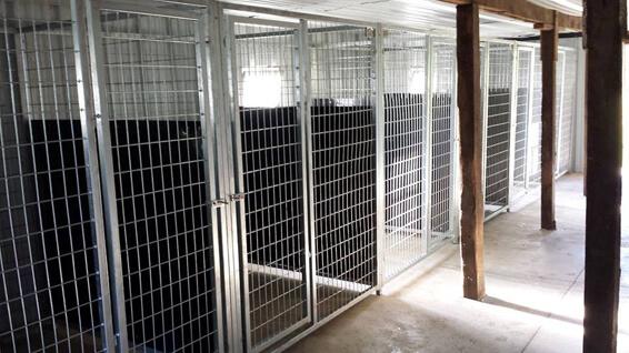 Dog kennel 2025 isolation panels