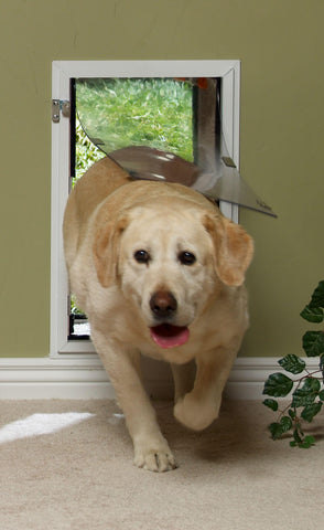 Hale Pet Door Wall Mounted Secure Dog and Cat Door with dog